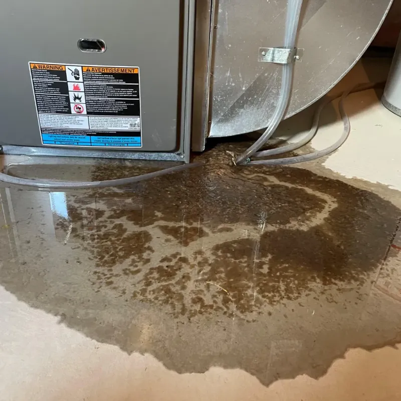 Appliance Leak Cleanup in Larkspur, CA